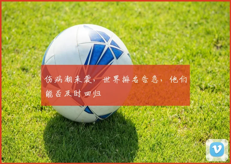 伤病潮来袭，世界排名告急，他们能否及时回归