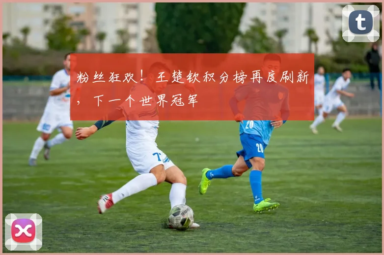 粉丝狂欢!王楚钦积分榜再度刷新,下一个世界冠军