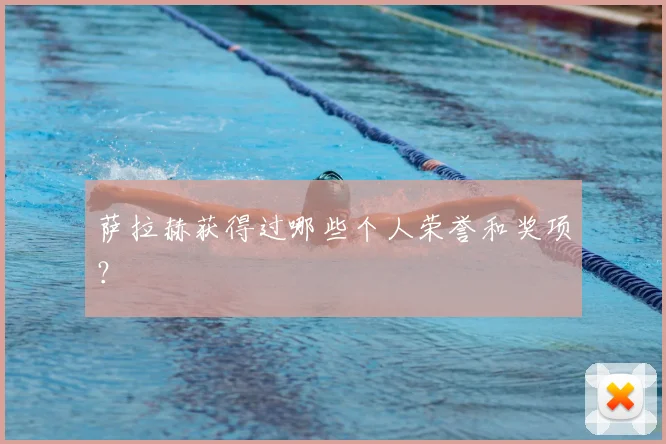 萨拉赫获得过哪些个人荣誉和奖项？