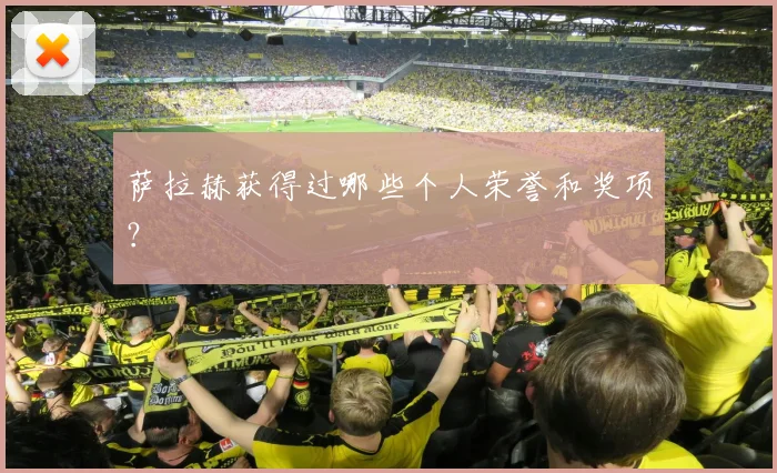 萨拉赫获得过哪些个人荣誉和奖项?