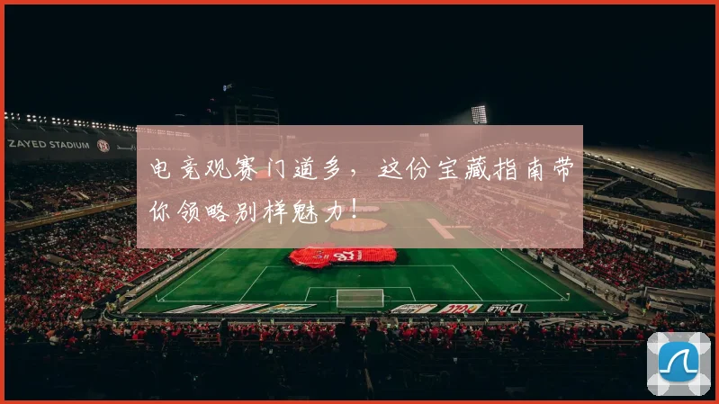电竞观赛门道多，这份宝藏指南带你领略别样魅力！