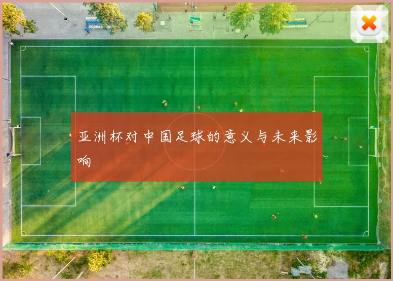 亚洲杯对中国足球的意义与未来影响